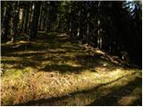 Planica (Planinšek) - Planina Podvežak